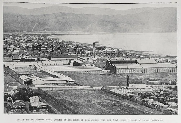 The two big freezing works at Wellington, where the slaughtermen were to have struck on Monday last