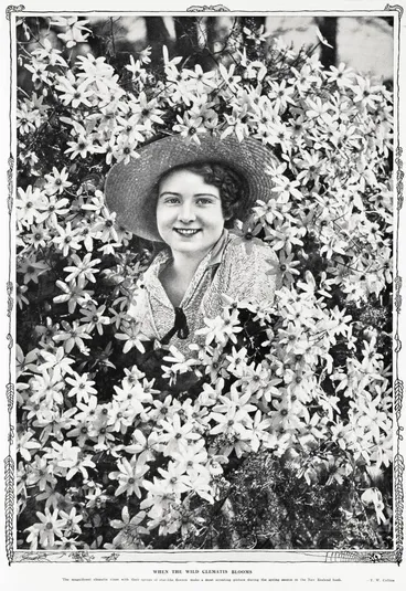 Image: When the wild clematis blooms