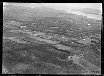 Image: Kerikeri, Northland