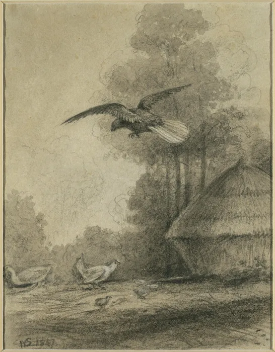 Swainson, William, 1789-1855 :Falcon and poultry, Hawkshead. 1847.