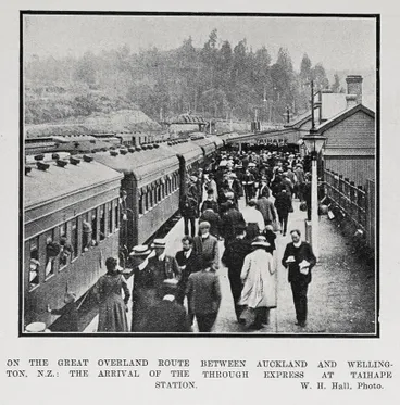 On the Great Overland route between Auckland and Wellington, N.Z. Image: On the Great Overland route between Auckland and Wellington, N.Z.
