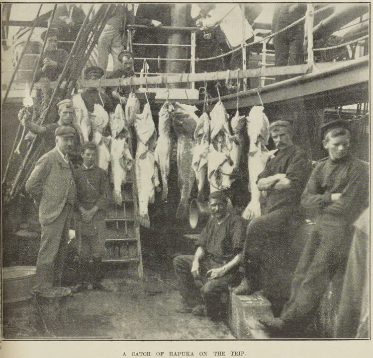 A catch of hapuka on the trip