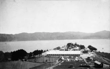 Image: Internment camp, Somes Island