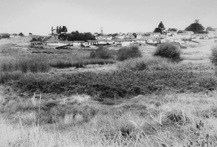 Kohuora Crater, Papatoetoe, 1993.