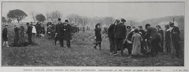 Teaching Auckland School Children The Value Of Afforestation Image: Teaching Auckland School Children The Value Of Afforestation