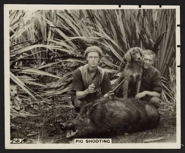 Image: W D & H O Wills :A sporting holiday in New Zealand. No. 23 Pig shooting [Front. 1927]