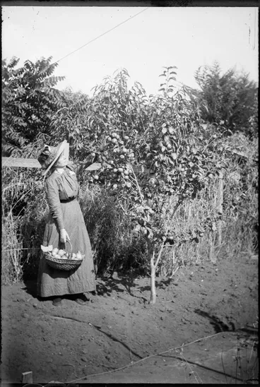 Image: Amy Richardson picking apples