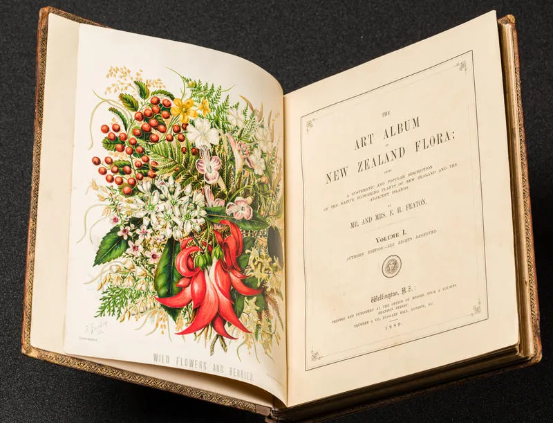 The Art Album of New Zealand Flora: Volume 1