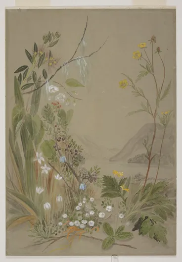 Image: Harris, Emily Cumming, 1837-1925: [Pohutukawa, clematis, bluebell, snowberry and ranunculus. 1890s?]