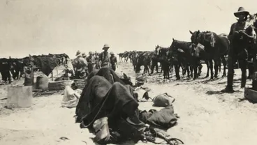 Image: Sinai & Palestine