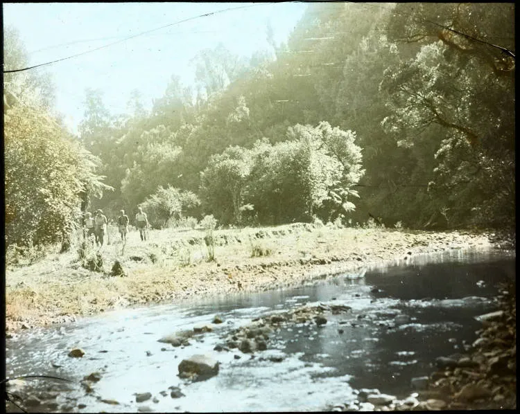 Mangatāwhiri Stream