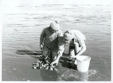 Image: Fishing - Toheroas