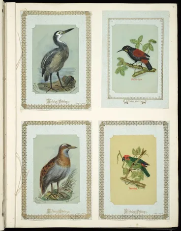 Image: Archibald Dudingston Willis (Firm) :Ardea Novae Zealandiae / NZ heron. Saddle-back. Ocydromus earli / NI woodhen. Parrakeet. [ca 1885]