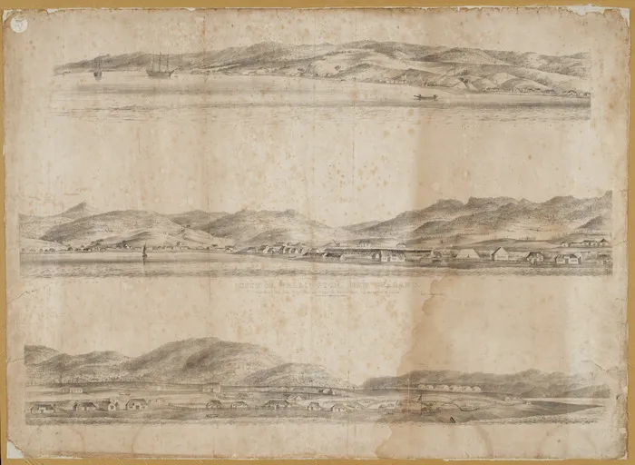 Nattrass, Luke, 1804-1875: City of Wellington, New Zealand. W. Richardson lith. from a sketch by L. Nattrass. Published for the proprietor at Huggins' Marine Mart, 105 Leadenhall St London. Printed by Dean & Munday, Threadneedle St. [1st edition. 1841]
