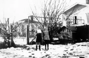 Snow in Martinborough: photograph Image: Snow in Martinborough: photograph
