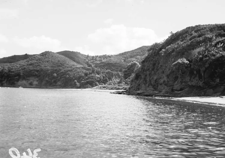 Kaitarakihi Beach, between Cornwallis and Huia.