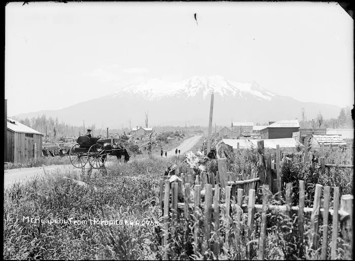 Horopito with Mt Ruapehu in the distance
