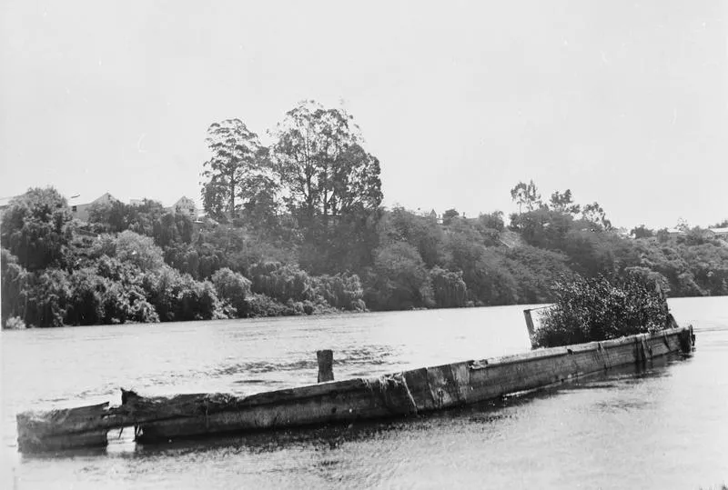 Rangiriri Paddle steamer - Waikato River
