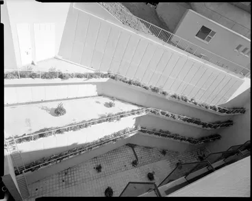 Image: Retaining wall with plants, TAB, Wellington