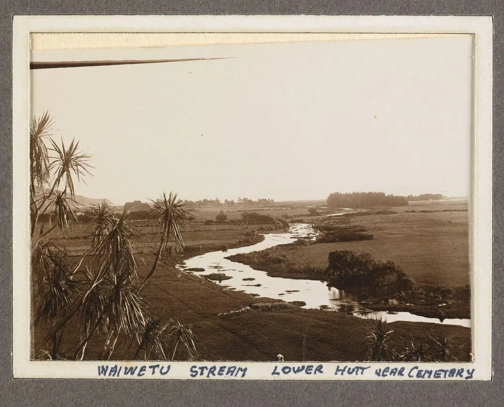 Waiwetu Stream Lower Hutt Near Cemetery'