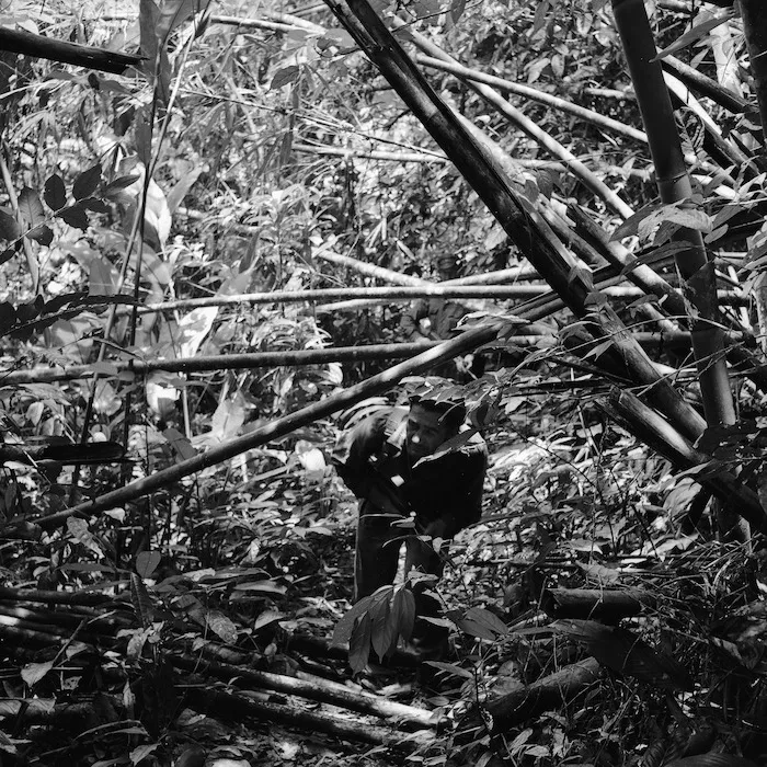 Soldier, Malayan jungle
