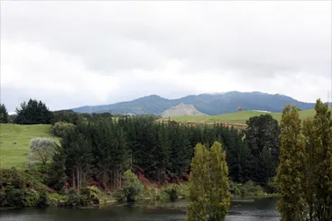 Image: Maungatautari