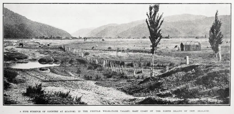A fine stretch of country at Ruatoki, in the fertile Whakatane Valley, east coast of the North Island of New Zealand