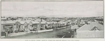 Five to seven years' growth - what the Jervois estate cost the public Image: Five to seven years' growth - what the Jervois estate cost the public