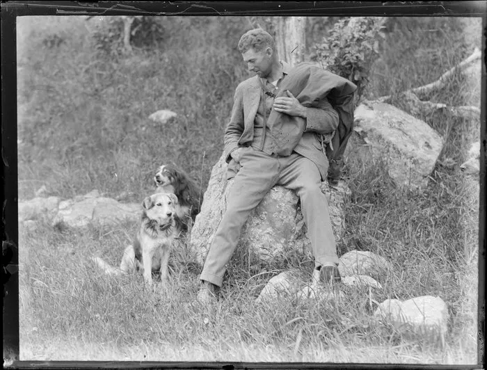 Unidentified drover resting on a rock with his sheepdogs beside him, location unknown