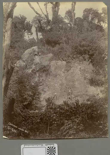 Image: Outcrop above No. 1, Tui, GM
