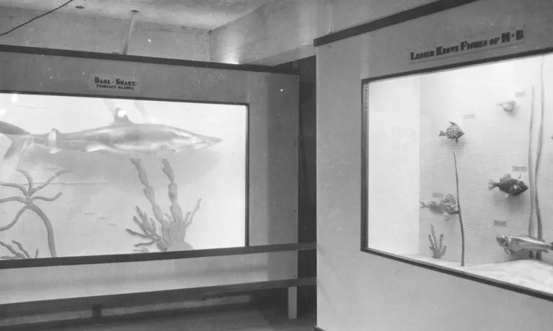 Hawke's Bay Museum and Art Gallery