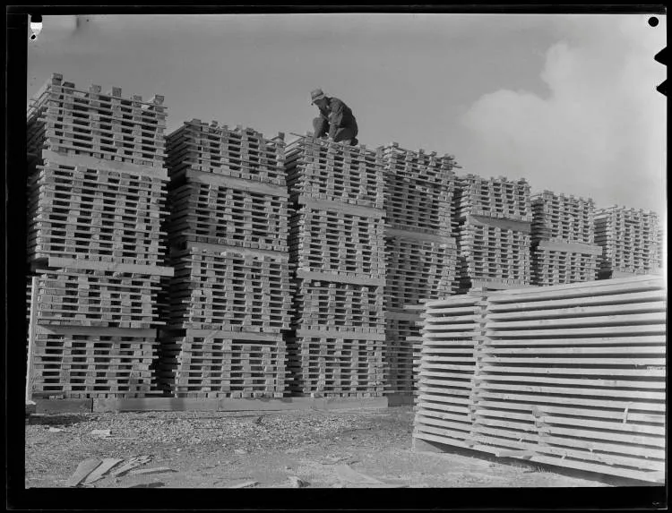 Tokoroa Timber Industry, 1952