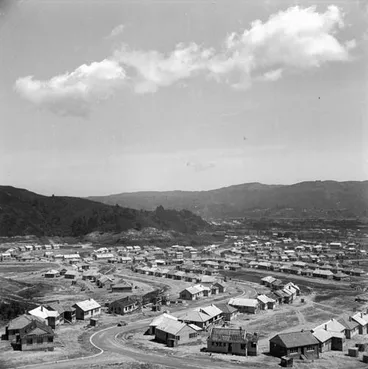 Image: Naenae state housing