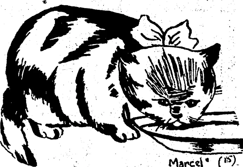 Untitled Illustration (Evening Post, 17 December 1938)
