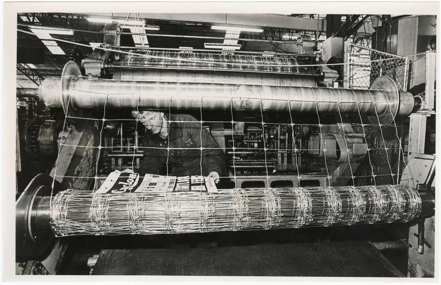 Production of deer fence netting at Cyclone factory