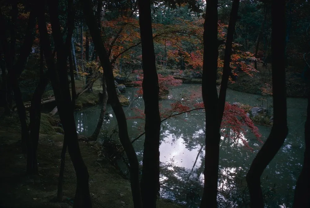 Japan series: Kokedera Temple