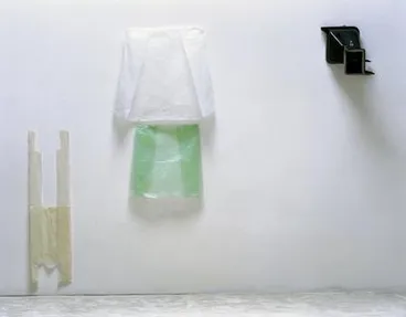 Image: Ladybug (Pornament)