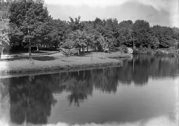 Image: Ngaere Gardens