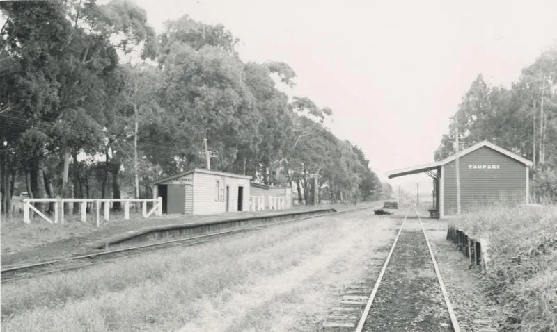 Taupaki station, 1954