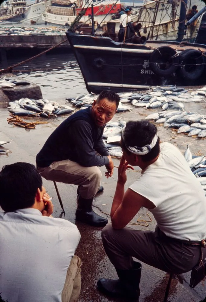 Japan Series: Tokyo Fish Market