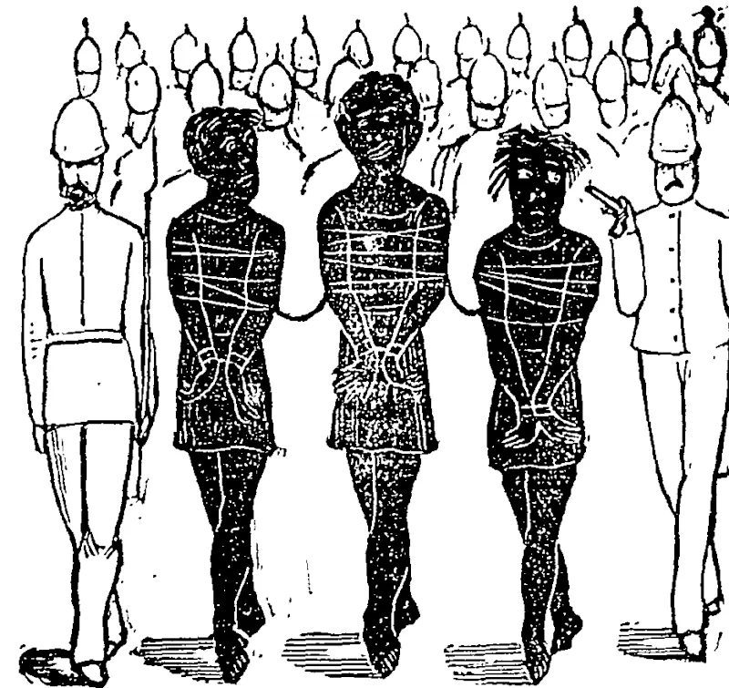 GLORIOUS CAPTURE OE TE WHITI, TOHU, AND  HIROKI. (Observer, 12 November 1881)