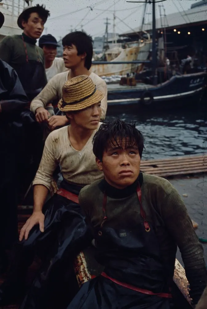 Japan Series: Tokyo Fish Market