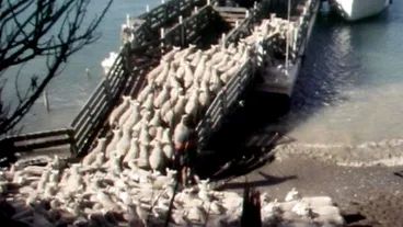 D’Urville Island barge Image: D’Urville Island barge