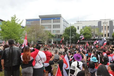 Hikoi against Treaty Principles Bill, Garden Place, Hamilton Image: Hikoi against Treaty Principles Bill, Garden Place, Hamilton