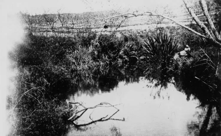 Hazel Hooton seated on the banks of Lucas Creek, Albany.