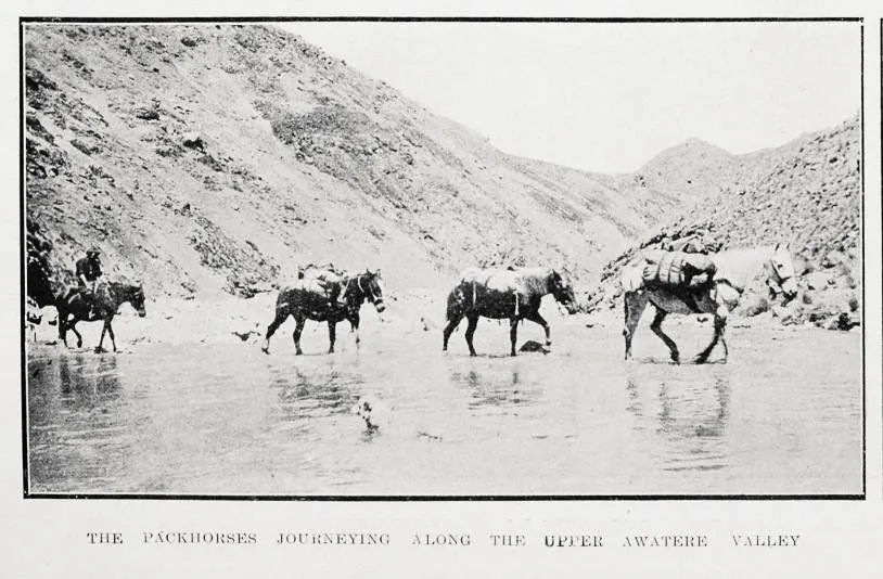The packhorses journeying along the upper Awatere Valley