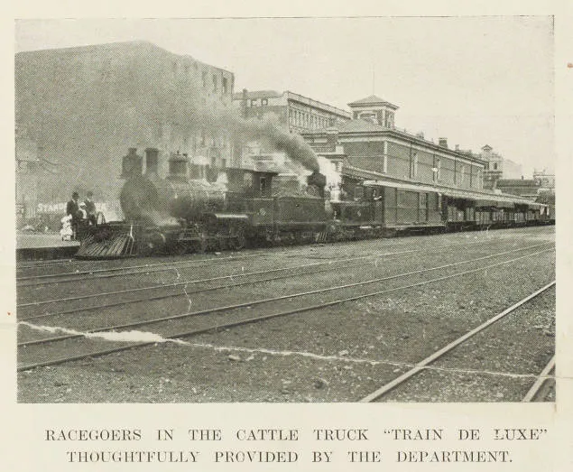 Racegoers in the cattle truck 'train de luxe' thoughtfully provided by the department