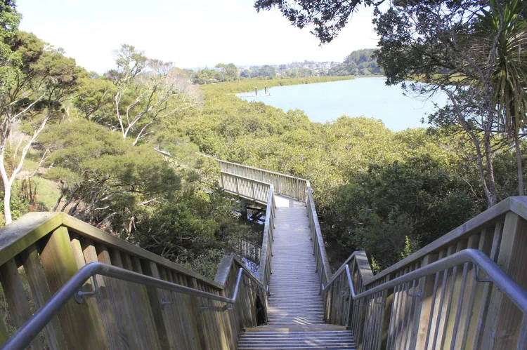 Taipari Strand, Te Atatu Peninsula.