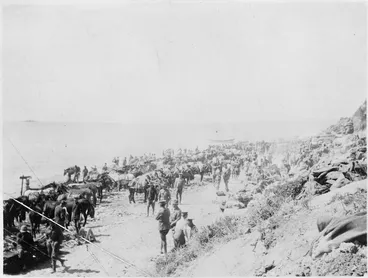 Image: Scene on beach at Anzac Cove, Gallipoli, Turkey