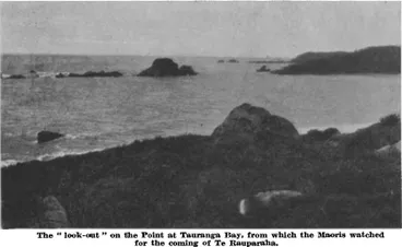 Image: The “look-out” on the Point at Tauranga Bay, from which the Maoris watched for the coming of Te Rauparaha